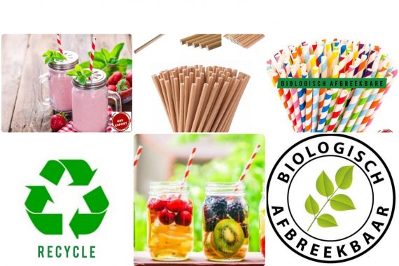 papieren rietjes, paper straws, Papierstrohhalme 10a